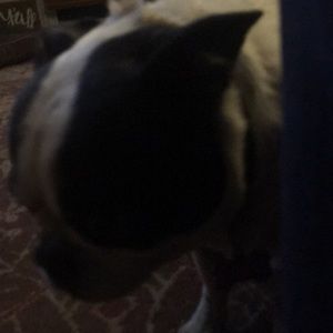 Meet your Posher, Kim